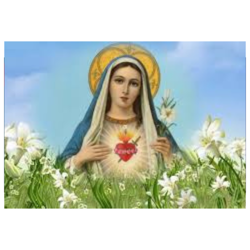 Tại Sao Tháng Năm Được Coi Là Tháng Đức Mẹ?